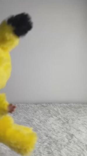 Labubu pikachu customize